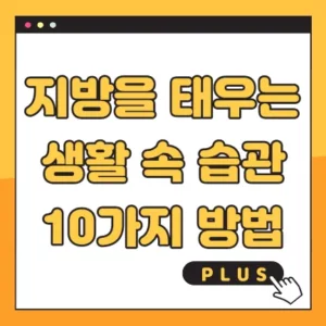 지방을 태우는 생활 속 습관 10가지