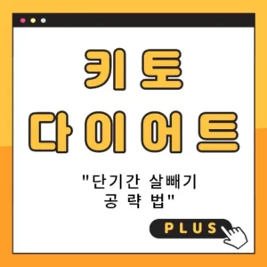 키토 다이어트